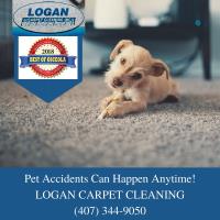 Logan Carpet Cleaning image 12